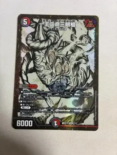 2026年最新】ヴィナシューラの人気アイテム - メルカリ