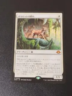 2026年最新】オセロットの群れの人気アイテム - メルカリ