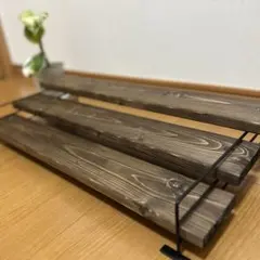 2026年最新】アガベ棚の人気アイテム - メルカリ