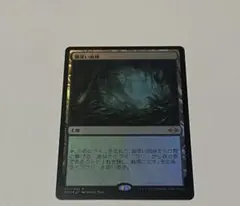 2026年最新】霧深い雨林の人気アイテム - メルカリ