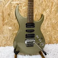2026年最新】fernandes サスティナーの人気アイテム - メルカリ