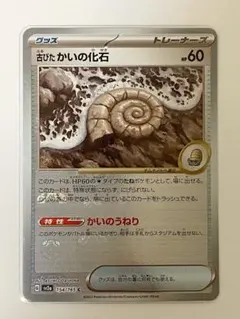 2026年最新】貝の化石 マスターボールの人気アイテム - メルカリ