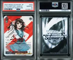 2026年最新】ハルヒ サイン ヴァイスシュヴァルツの人気アイテム