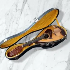 2026年最新】マンドリン suzuki 226の人気アイテム - メルカリ