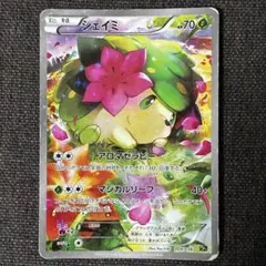 2026年最新】シェイミ cp5の人気アイテム - メルカリ