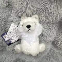 2026年最新】もふっとオオカミの人気アイテム - メルカリ