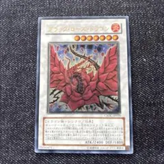 2026年最新】ブラックローズドラゴン 20thの人気アイテム - メルカリ