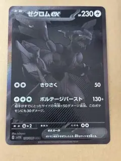 2026年最新】ゼクロムbwrの人気アイテム - メルカリ