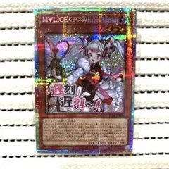 2026年最新】マリスポーンホワイトラビットの人気アイテム - メルカリ