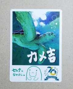 2026年最新】鳥羽水族館購入の人気アイテム - メルカリ