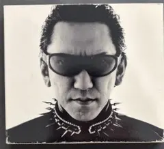 2026年最新】布袋 ドーベルマンの人気アイテム - メルカリ