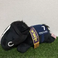 2026年最新】イクイノックス 超bigの人気アイテム - メルカリ