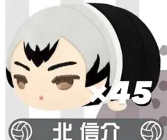 2026年最新】北信介 もちマス ミニの人気アイテム - メルカリ