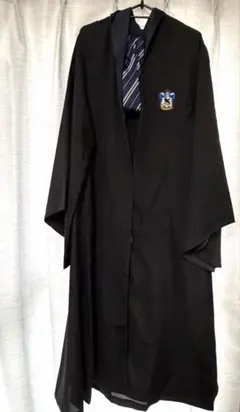 2026年最新】ネクタイ ハリーポッター レイブンクローの人気アイテム