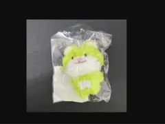 2026年最新】EVNNIZぬいぐるみの人気アイテム - メルカリ