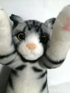 2026年最新】たっちzooにゃんこの人気アイテム - メルカリ