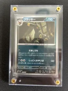 2026年最新】テラスタルフェスex ブラッキー マスターボールの人気