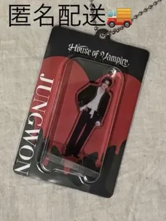 2026年最新】グループ名：ENHYPEN アクリルスタンドの人気アイテム