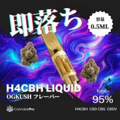 2026年最新】H4CBDリキッドの人気アイテム - メルカリ