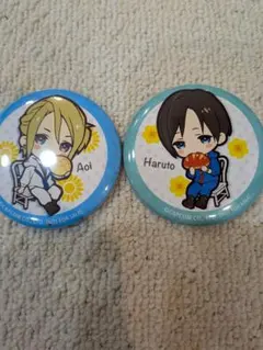 2026年最新】囚われのパルマ 缶バッジの人気アイテム - メルカリ