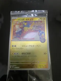 2026年最新】ヒロシマのピカチュウの人気アイテム - メルカリ