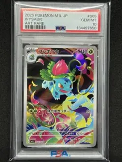 2026年最新】フシギソウ ar psa10の人気アイテム - メルカリ