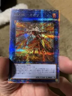 2026年最新】カガリ プリズマ 絵違いの人気アイテム - メルカリ