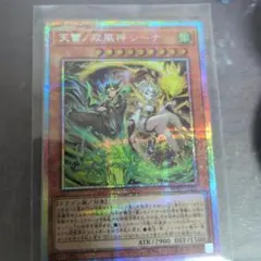 2026年最新】天雷ノ双風神 シーナの人気アイテム - メルカリ