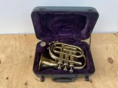 2026年最新】コルネット ケースの人気アイテム - メルカリ