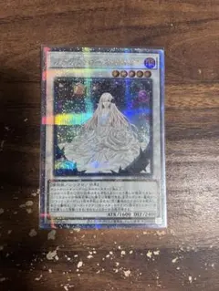 2026年最新】ガーデン・ローズ・メイデン 25thの人気アイテム - メルカリ