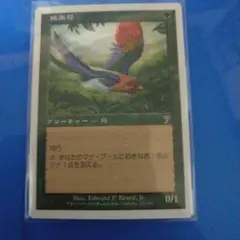 2026年最新】極楽鳥 mtgの人気アイテム - メルカリ