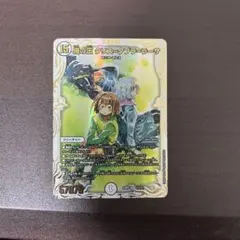 2026年最新】蝿の王 シークレットの人気アイテム - メルカリ