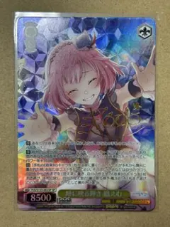 2026年最新】ヴァイスシュヴァルツ プロセカ サイン ミクの人気