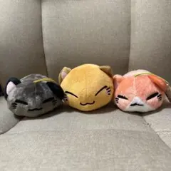 2026年最新】ねむネコ ぬいぐるみの人気アイテム - メルカリ