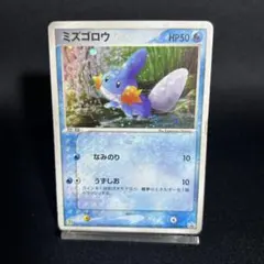 2026年最新】ミズゴロウ プロモの人気アイテム - メルカリ