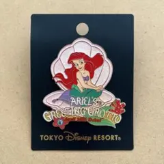 2026年最新】アリエル ピンバッチの人気アイテム - メルカリ