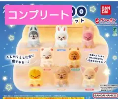 2026年最新】SKZOOガチャの人気アイテム - メルカリ