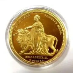 2026年最新】ウナ ライオン 金貨の人気アイテム - メルカリ