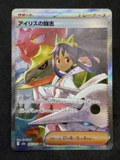 m51993163871_1.jpg?1771511189