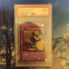 2026年最新】テンペスター レリーフの人気アイテム - メルカリ