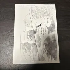 2026年最新】ヴァンパイア騎士 複製原画の人気アイテム - メルカリ