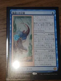 2026年最新】嵐追いの才能の人気アイテム - メルカリ