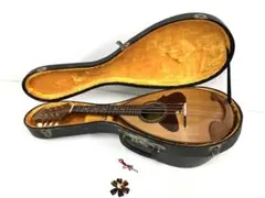 2026年最新】マンドリン 228の人気アイテム - メルカリ