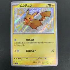 2026年最新】色違いピカチュウSの人気アイテム - メルカリ