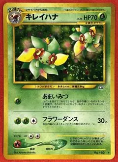 2026年最新】キレイハナ 旧の人気アイテム - メルカリ