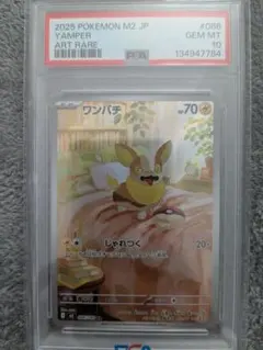 2026年最新】psa10 わんぱちの人気アイテム - メルカリ