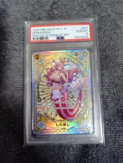 2026年最新】しらほし psa10の人気アイテム - メルカリ