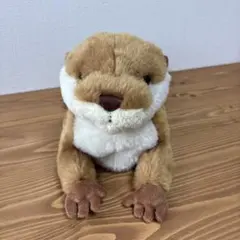 2026年最新】サンレモン カワウソの人気アイテム - メルカリ