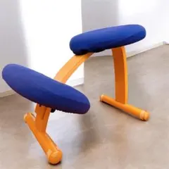 2026年最新】リボ バランスチェアの人気アイテム - メルカリ