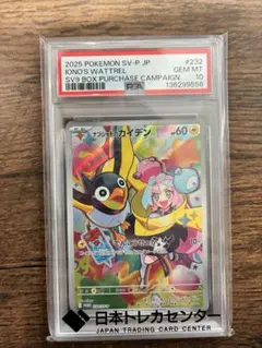 2026年最新】ナンジャモ カイデン psaの人気アイテム - メルカリ